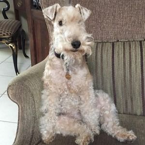 Meet your Posher, Sally